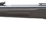 Gamo Big Cat