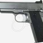 Dan Wesson semiautomatica