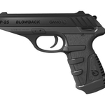 Gamo P25