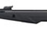 Gamo Whisper X