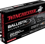 Winchester Ballistic silver Tip