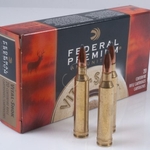 Federal premium cartuccia palla Sierra