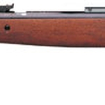 Gamo CFX Royal